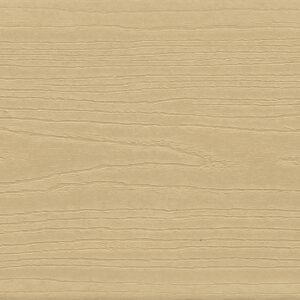 Barefoot Sand / Sanddollar
